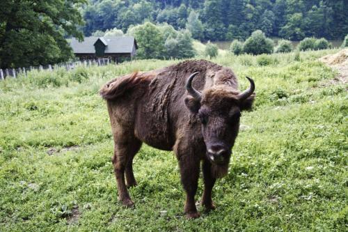 465380923_8928442607207414_6610008405963533632_n