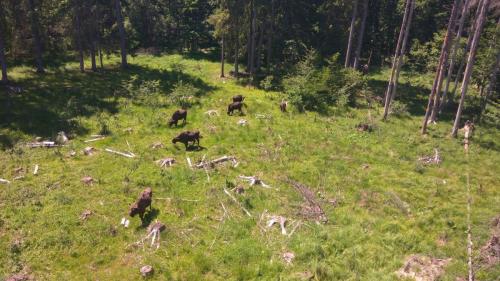 465446388_8931714586880216_5630078407990919990_n